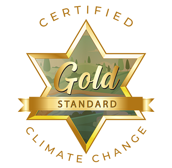 gold-standard-web